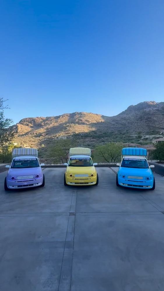 Lily, Sunny and the blue Capri Car parked with the McDowell Mountains behind them